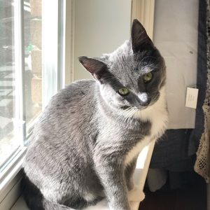 Meet your Posher, Abby